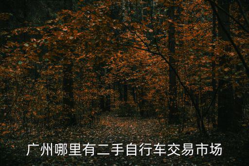 廣州哪里有二手自行車交易市場