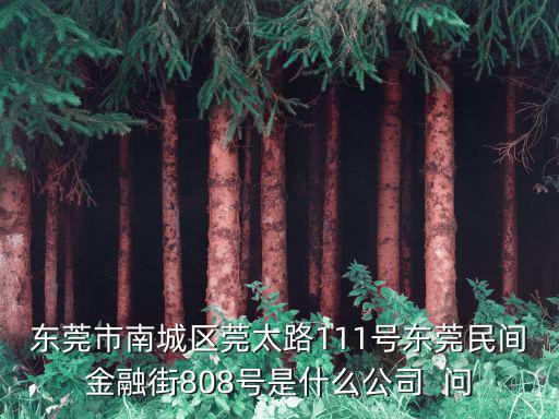 東莞市南城區莞太路111號東莞民間金融街808號是什么公司  問