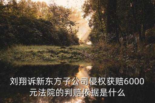 劉翔訴新東方子公司侵權獲賠6000元法院的判賠依據是什么