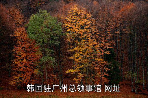 韓國駐廣州總領事館 網址