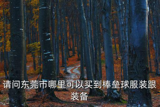 請問東莞市哪里可以買到棒壘球服裝跟裝備
