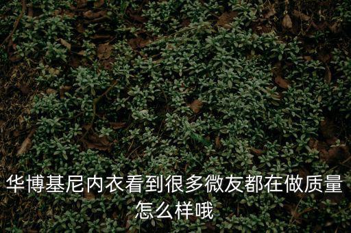 華博基尼內(nèi)衣看到很多微友都在做質(zhì)量怎么樣哦