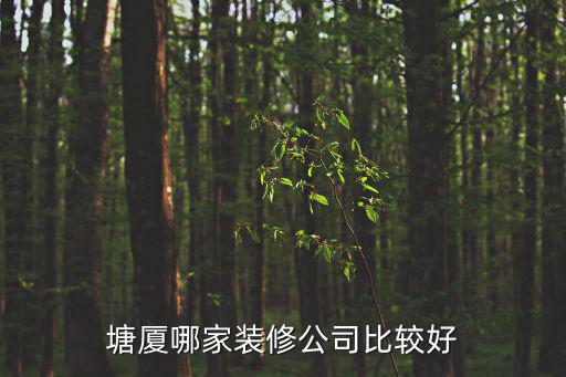 東莞塘廈四村裝修公司，東莞家庭裝修公司