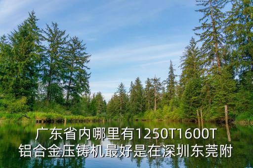 廣東省內哪里有1250T1600T鋁合金壓鑄機最好是在深圳東莞附