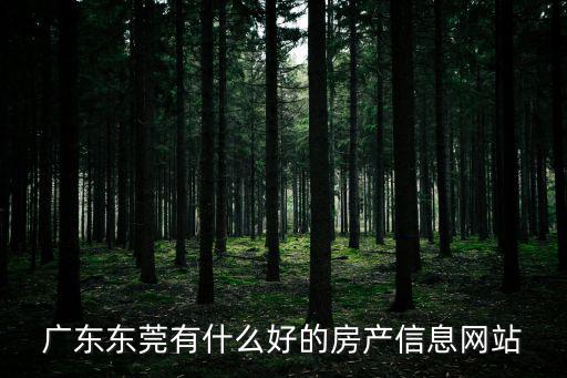 廣東東莞有什么好的房產(chǎn)信息網(wǎng)站
