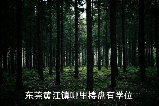 東莞黃江鎮哪里樓盤有學位