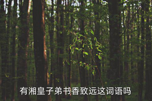 有湘皇子弟書(shū)香致遠(yuǎn)這詞語(yǔ)嗎