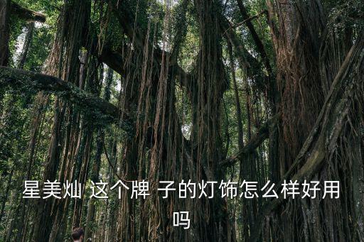 星美燦 這個(gè)牌 子的燈飾怎么樣好用嗎