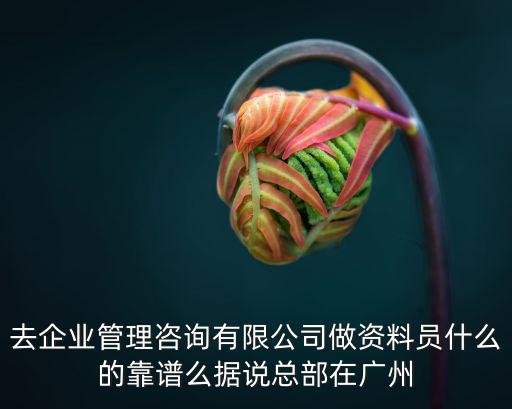 廣州清泉企業管理咨詢有限公司，廣州清泉企業管理顧問公司怎么樣呀在威尼國際的那個