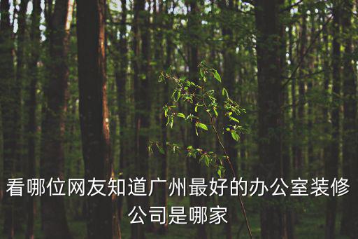 廣州辦公室裝修專家，看哪位網友知道廣州最好的辦公室裝修公司是哪家