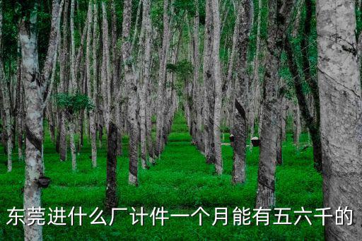東莞進(jìn)什么廠計(jì)件一個(gè)月能有五六千的
