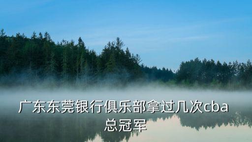 廣東東莞銀行隊，廣東東莞銀行隊主場在哪個區