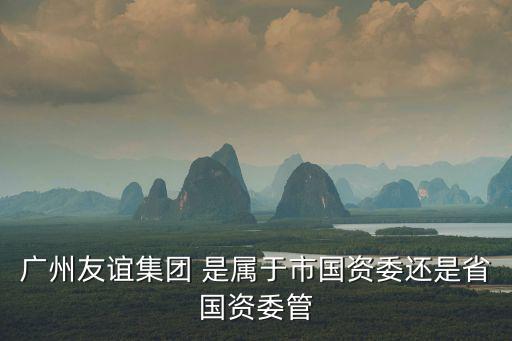 廣州友誼集團(tuán) 是屬于市國資委還是省國資委管