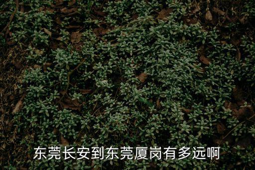 東莞長安到東莞廈崗有多遠啊