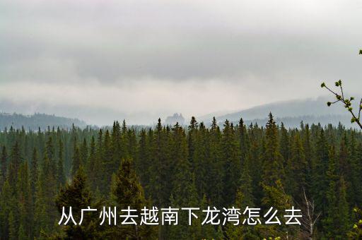 從廣州去越南下龍灣怎么去