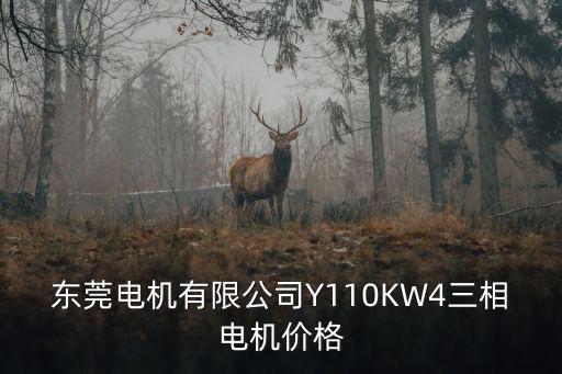 東莞電機有限公司Y110KW4三相電機價格