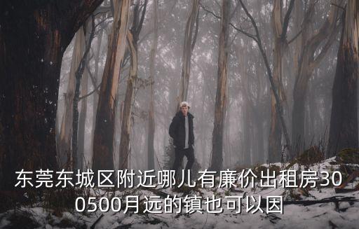 東莞東城區(qū)附近哪兒有廉價(jià)出租房300500月遠(yuǎn)的鎮(zhèn)也可以因