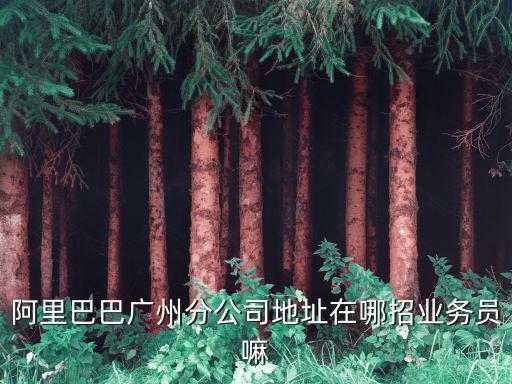 阿里巴巴廣州分公司地址在哪招業務員嘛