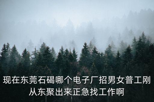 現在東莞石碣哪個電子廠招男女普工剛從東聚出來正急找工作啊