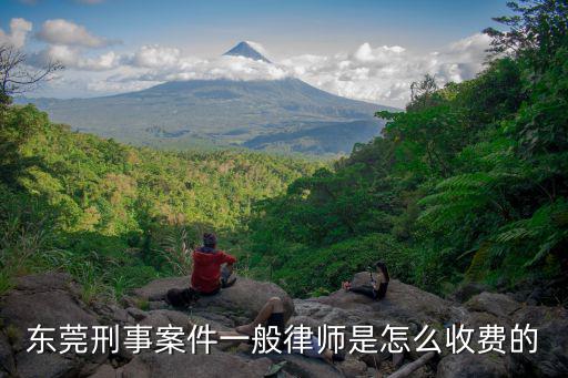 東莞刑事案件一般律師是怎么收費(fèi)的