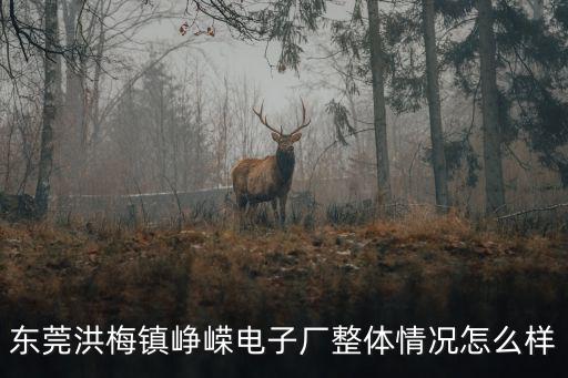 東莞洪梅鎮崢嶸電子廠整體情況怎么樣
