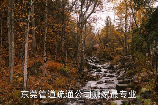 東莞管道疏通公司哪家最專業