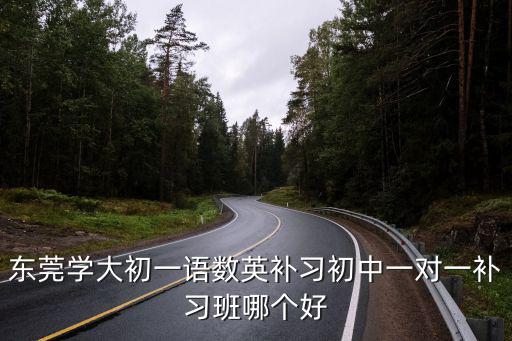 東莞學大初一語數英補習初中一對一補習班哪個好