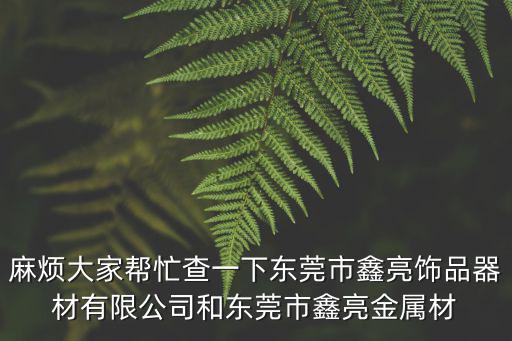 麻煩大家幫忙查一下東莞市鑫亮飾品器材有限公司和東莞市鑫亮金屬材