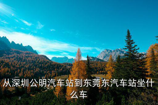 從深圳公明汽車站到東莞東汽車站坐什么車