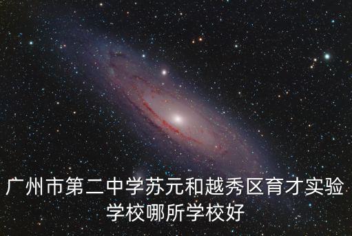 廣州市第二中學(xué)蘇元和越秀區(qū)育才實(shí)驗(yàn)學(xué)校哪所學(xué)校好