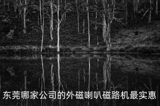東莞哪家公司的外磁喇叭磁路機最實惠