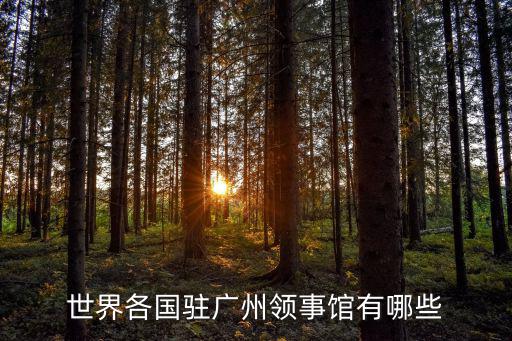 廣州英國大使館附件的住宿，我在武漢要去廣州的英國大使館在環市東路的廣東國際大酒店請問