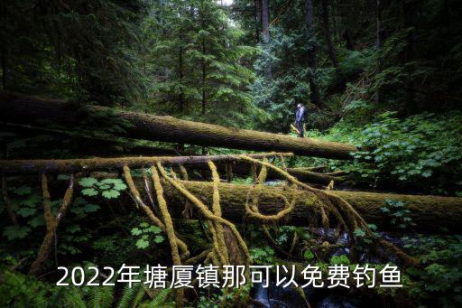 2022年塘廈鎮那可以免費釣魚