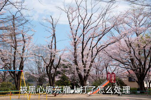 被黑心房東雇人打了怎么處理