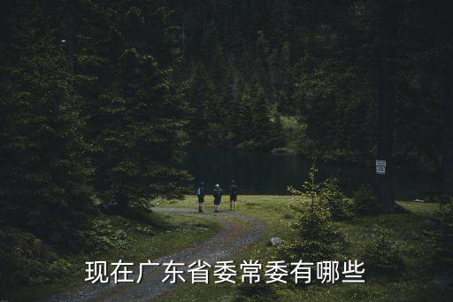 現在廣東省委常委有哪些