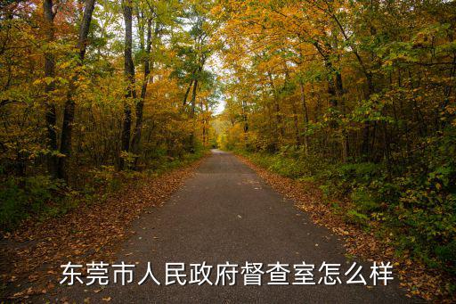 東莞市委督查辦，東莞市長李琉全工作地址