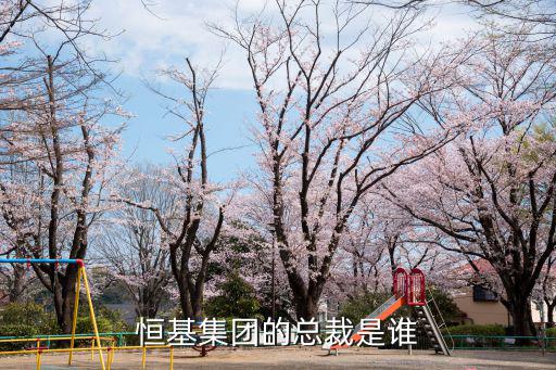 恒基集團(tuán)的總裁是誰(shuí)