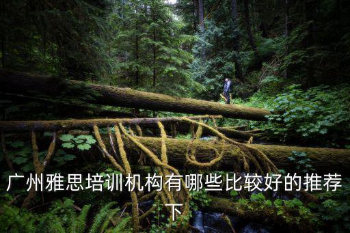 廣州雅思培訓(xùn)，廣州哪些雅思的培訓(xùn)班比較好