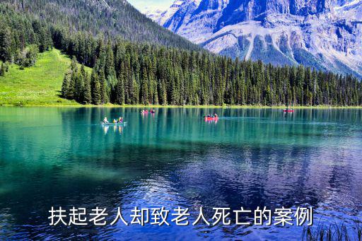 扶起老人卻致老人死亡的案例