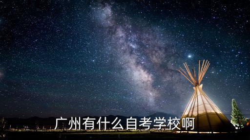 廣州有什么自考學(xué)校啊