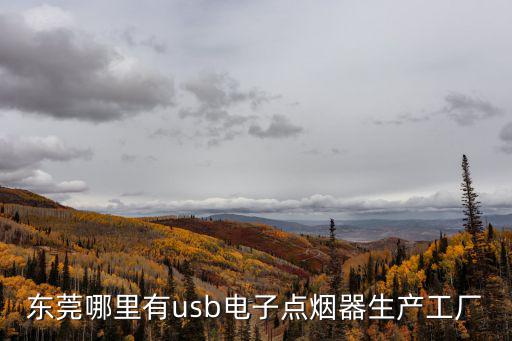 東莞哪里有usb電子點煙器生產工廠