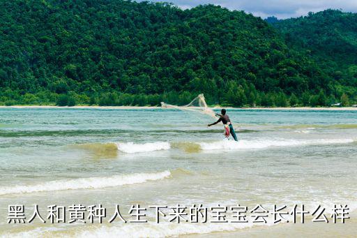 黑人和黃種人生下來的寶寶會長什么樣
