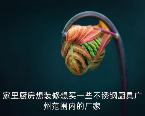 家里廚房想裝修想買一些不銹鋼廚具廣州范圍內的廠家