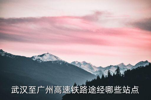 武漢至廣州高速鐵路途經哪些站點