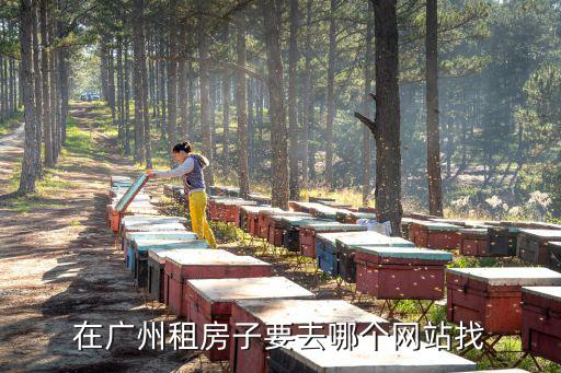 在廣州租房子要去哪個(gè)網(wǎng)站找