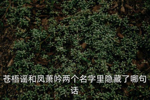 蒼梧謠和鳳蕭吟兩個名字里隱藏了哪句話