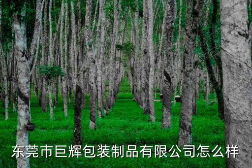 東莞市巨輝包裝制品有限公司怎么樣