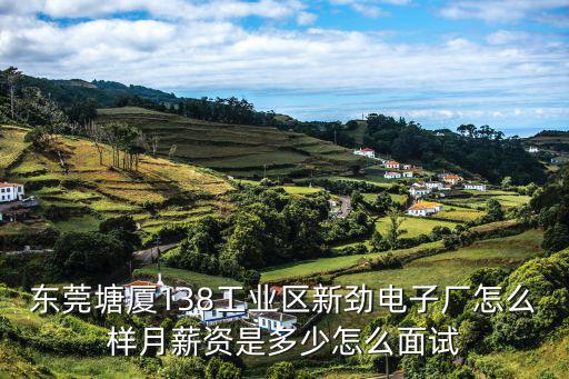 東莞塘廈138工業(yè)區(qū)新勁電子廠怎么樣月薪資是多少怎么面試