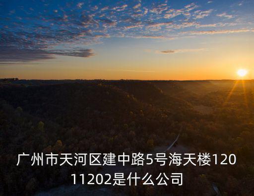 廣州市天河區建中路5號海天樓12011202是什么公司