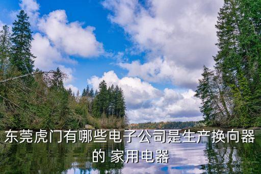 東莞虎門有哪些電子公司是生產(chǎn)換向器的 家用電器